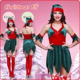 Sexy Christmas Costume