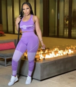 Purple Sleeveless 2PS Halter Bodycons YOGA Sports Dress