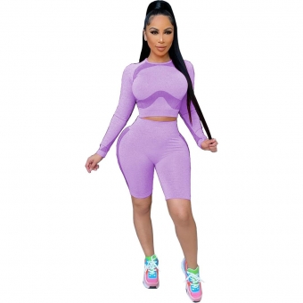 Purple Long Sleeve O-Neck 2PCS Women Sexy Pant Sets