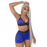 Blue Halter V-Neck Bra Lace Sexy Pant Set