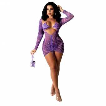 Purple Long Sleeve V-Neck Mesh Printed Club Dress With Bra