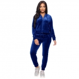 RoyalBlue Long Sleeve V-Neck Zipper Velvet Women Catsuit Dress