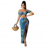 Blue Low-Cut V-Neck Printed 2PCS Fashion Maxi Dress