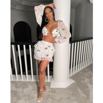 White Long Sleeve Hollow-out Mesh Printed Sexy Mini Dress