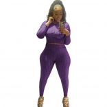 Purple Long Sleeve YOGO Bodycon Women Sports Dress Sets