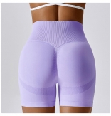 Purple High Waist Yoga Shorts Seamless Cycling Gym Shorts Women