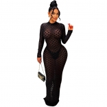 Black Long Sleeve Mesh See-throught Bodycon Evening Dancing Long Dress