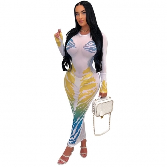White Mesh Long Sleeve Printed See Through Sexy Club Dress