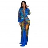 Blue Long Sleeve Deep V Neck Printed Multi Bodycon Pleated Long Dress