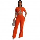 Orange Short Sleeve Sexy Crop Top Pleated Wide Leg Pant Sets Dress