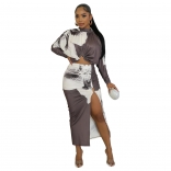 Gray Long Sleeve Printed Crop Tops Pleated Sexy Slit Skirt Sets