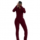 Claret Long Sleeve Zipper Striped Two Pieces Pant Sets