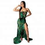 Green Off-Shoulder Printed Mesh Fashion Beach Wear