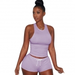 Purple Sleeveless Halter Women 2PCS Sexy Short Sets