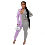 Purple Long Sleeve Zipper V-Neck 2PCS Women Sports Dress
