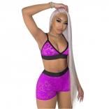Purple Halter V-Neck Bra Lace Sexy Pant Set