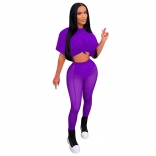 Purple Short Sleeve Mesh 2PCS Women Bodycons Jumpsuit