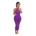 Purple Sleeveless V-Neck Hollow-out Nets Sexy Dress