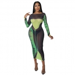 Green Printed Mesh Long Sleeve Sexy Club Midi Dress