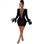 Black Feather Long Sleeve Deep V-Neck Mesh Bodycon Club Mini Dress