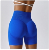 Blue High Waist Yoga Shorts Seamless Cycling Gym Shorts Women